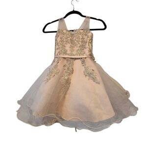 Tip Top Kids Blush Pink and Gold Embroidered Tulle Party Dress